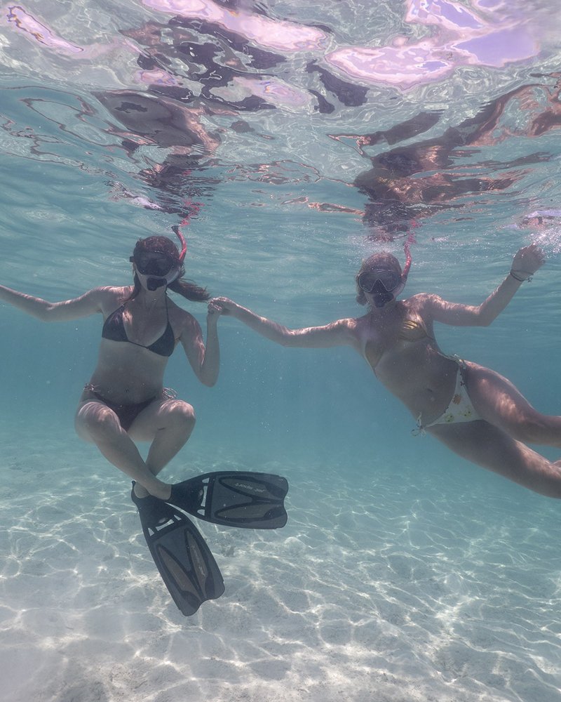 Explore Shallow Reefs